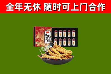 梧州烟酒回收冬虫夏草礼盒.jpg